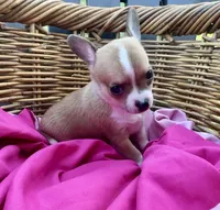 processed/8fc59a51-2a3f-4f1e-b56d-d4dc0ab3d832/listing/12fcc322-36fd-4dcd-9e35-8318d7110b39/a5d28bee-75cd-4d20-bbf9-f6fc747e2a5a