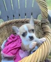 processed/8fc59a51-2a3f-4f1e-b56d-d4dc0ab3d832/listing/12fcc322-36fd-4dcd-9e35-8318d7110b39/d1afdef4-9cc2-45eb-9ed2-100a2efd17ae