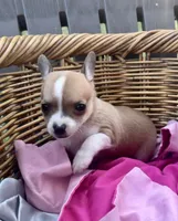 processed/8fc59a51-2a3f-4f1e-b56d-d4dc0ab3d832/listing/12fcc322-36fd-4dcd-9e35-8318d7110b39/d3a7e9f1-6b7e-4b07-ade4-2ec021e03e05