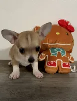 processed/8fc59a51-2a3f-4f1e-b56d-d4dc0ab3d832/listing/12fcc322-36fd-4dcd-9e35-8318d7110b39/db349f8e-70ec-49d9-bd59-44f2f4792769