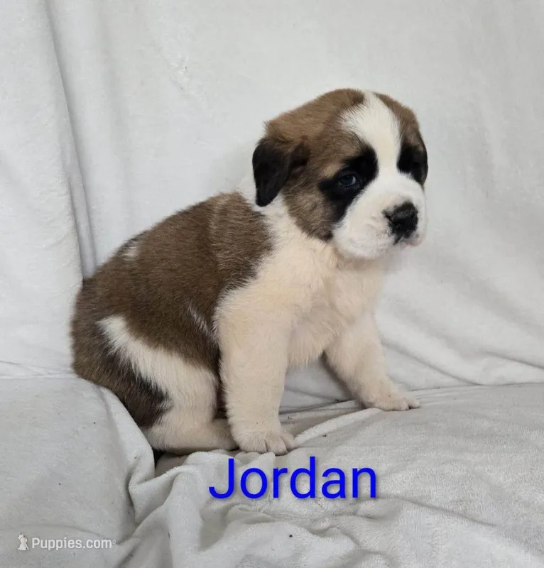 Jordan