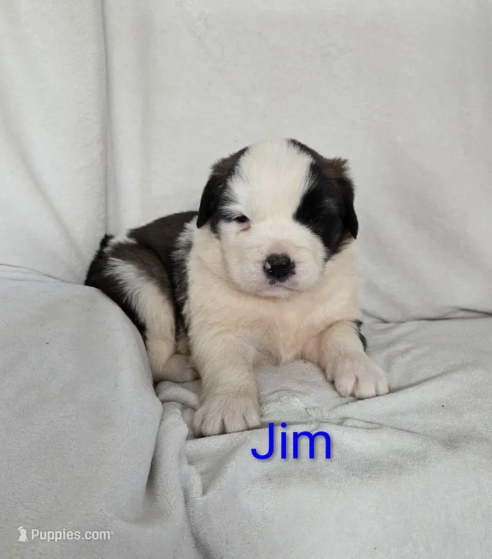 Jim