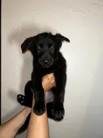 processed/8fd05e1f-7cd0-4519-aaf2-983bdf31adf2/listing/ea08ce78-e0a7-4e7c-b42f-84fd9dd3a70b/4bdcdbc1-484d-49f3-a452-9f35317e49b2