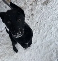 processed/8fd05e1f-7cd0-4519-aaf2-983bdf31adf2/listing/ea08ce78-e0a7-4e7c-b42f-84fd9dd3a70b/76e60541-e8d5-4775-adaf-8875aa726ebf