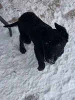 processed/8fd05e1f-7cd0-4519-aaf2-983bdf31adf2/listing/ea08ce78-e0a7-4e7c-b42f-84fd9dd3a70b/c55b32c7-3227-41e3-808c-6766132ccca8