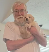 Neil, a male Saint Berdoodle for sale in Union, KY – 2 of 2