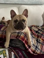 processed/8fd6ea04-71be-4d7a-82fc-90ab1ebfcff4/facility/00f04d1b-2c4c-4986-a044-bcf74bb3faf0