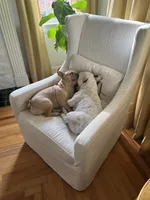 processed/8fd6ea04-71be-4d7a-82fc-90ab1ebfcff4/facility/18b8d679-1090-4a11-8902-eef1ee2d4746