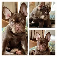 processed/8fd6ea04-71be-4d7a-82fc-90ab1ebfcff4/facility/1edaa74c-0eab-4089-89b9-3a68e8795a3c