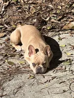 processed/8fd6ea04-71be-4d7a-82fc-90ab1ebfcff4/facility/68a18e7f-7208-4c0a-a397-bd435fe9ca12