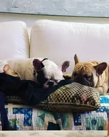 processed/8fd6ea04-71be-4d7a-82fc-90ab1ebfcff4/facility/6e7b7e14-7735-45cd-ac6e-4fce53785804