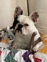 processed/8fd6ea04-71be-4d7a-82fc-90ab1ebfcff4/facility/8ab6853c-07a1-4d21-9140-449b98c844d0