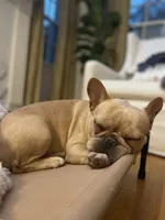 processed/8fd6ea04-71be-4d7a-82fc-90ab1ebfcff4/facility/9aad1473-3972-48a0-8a53-edb2ebb6e4c5