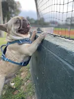 processed/8fd6ea04-71be-4d7a-82fc-90ab1ebfcff4/facility/a6189b99-b2a9-477e-a148-3062600a93d2