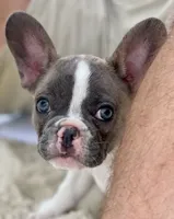 processed/8fd6ea04-71be-4d7a-82fc-90ab1ebfcff4/facility/b5d7f4d2-299d-46c9-87b6-9cda5b57f3f3