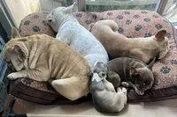 processed/8fd6ea04-71be-4d7a-82fc-90ab1ebfcff4/facility/e813cd88-b79f-496f-bb7c-0331f1d5ea25