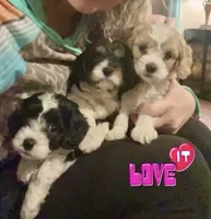 processed/8ff1a5fa-920e-4aee-918d-2612623dabe4/facility/c3936440-2b9e-4f43-be8d-4e9b737f38c0