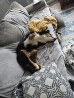 processed/8fff99ba-1192-432e-aa9e-74090d71ba87/facility/04fa2644-f824-4283-92ca-3d479b5f8620