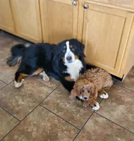 processed/8fff99ba-1192-432e-aa9e-74090d71ba87/facility/4ba45aa7-fdd9-4049-a356-100886c19dc0