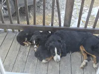 processed/8fff99ba-1192-432e-aa9e-74090d71ba87/facility/4c33d58c-152c-43b4-91d9-06a0c6969e69