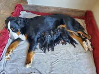 processed/8fff99ba-1192-432e-aa9e-74090d71ba87/facility/5cdac03b-f43a-4858-b53d-e354087fe3a9