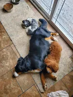 processed/8fff99ba-1192-432e-aa9e-74090d71ba87/facility/6c149f4c-a0cd-4e86-bfce-b1c13569fc25