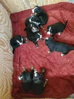 processed/8fff99ba-1192-432e-aa9e-74090d71ba87/facility/a122cac6-5801-4492-83d3-2fa6ac8b869e