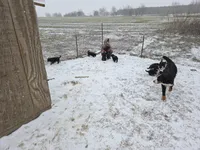 processed/8fff99ba-1192-432e-aa9e-74090d71ba87/facility/deb80c90-c287-4dde-83a4-5def79b0f682