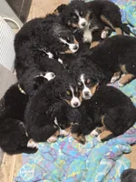 processed/8fff99ba-1192-432e-aa9e-74090d71ba87/facility/def1e344-414e-42e2-8b46-f3da15035395