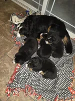 processed/8fff99ba-1192-432e-aa9e-74090d71ba87/facility/e9b20b96-c8ee-4634-abbc-c5db3ed53f14