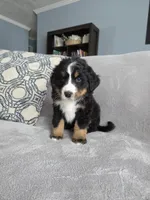 processed/8fff99ba-1192-432e-aa9e-74090d71ba87/listing/4205f47c-701b-4e5d-be89-ba9e6084edeb/41154c3d-78a4-468f-a9cd-f3a8f3b3ab71