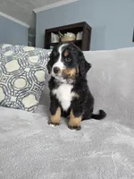 processed/8fff99ba-1192-432e-aa9e-74090d71ba87/listing/4205f47c-701b-4e5d-be89-ba9e6084edeb/49db7b12-d132-4d5c-be29-8c760eaab96d