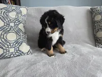 processed/8fff99ba-1192-432e-aa9e-74090d71ba87/listing/4205f47c-701b-4e5d-be89-ba9e6084edeb/60534bdb-c8a4-4b04-8f11-d8b7a44954f2