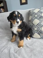 processed/8fff99ba-1192-432e-aa9e-74090d71ba87/listing/851370dd-2400-4728-b4bd-4d2800a62812/30bf9822-743c-4d4f-a0da-8c87b1738615