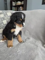 processed/8fff99ba-1192-432e-aa9e-74090d71ba87/listing/851370dd-2400-4728-b4bd-4d2800a62812/7b1c5564-6280-4723-ad71-6189ad78d97f