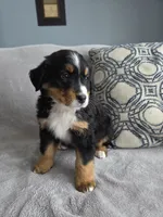 processed/8fff99ba-1192-432e-aa9e-74090d71ba87/listing/851370dd-2400-4728-b4bd-4d2800a62812/7b8c6f44-622c-46b0-b08c-65091ae889b9