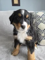 processed/8fff99ba-1192-432e-aa9e-74090d71ba87/listing/851370dd-2400-4728-b4bd-4d2800a62812/94bb430a-b5b5-4dab-84cc-a8e567af0ef1