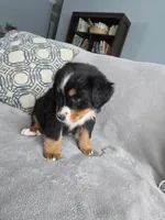 processed/8fff99ba-1192-432e-aa9e-74090d71ba87/listing/851370dd-2400-4728-b4bd-4d2800a62812/bc06e0c0-51f1-4a39-8d59-adcaf73c8410