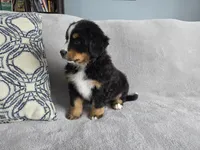 processed/8fff99ba-1192-432e-aa9e-74090d71ba87/listing/8d17e8c7-f2b7-4190-8b50-6cf0ce2399aa/2bb0f12e-a4d9-4474-a95a-80c3b727f71a