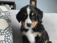 processed/8fff99ba-1192-432e-aa9e-74090d71ba87/listing/8d17e8c7-f2b7-4190-8b50-6cf0ce2399aa/2fb85c29-c200-48fe-a3d0-45a0bdeed844