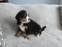 processed/8fff99ba-1192-432e-aa9e-74090d71ba87/listing/8d17e8c7-f2b7-4190-8b50-6cf0ce2399aa/e6a19566-ea13-4156-a6ed-3c55d04021d3