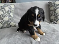 processed/8fff99ba-1192-432e-aa9e-74090d71ba87/listing/c3c0a891-9431-4a1b-b709-7d02ff66414a/124d2e54-1711-48be-9ca2-b77830280f39