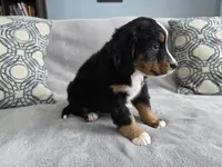 processed/8fff99ba-1192-432e-aa9e-74090d71ba87/listing/c3c0a891-9431-4a1b-b709-7d02ff66414a/4fddc94b-5ce6-44af-9466-9c08aee24984