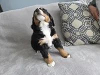 processed/8fff99ba-1192-432e-aa9e-74090d71ba87/listing/c3c0a891-9431-4a1b-b709-7d02ff66414a/f1062416-e258-46e6-bff6-a64a86e83db2