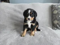 processed/8fff99ba-1192-432e-aa9e-74090d71ba87/listing/d24e2dcb-3e9e-40d1-9a12-a409ead32e24/46b0805f-af63-44eb-9056-4d7e9375305c