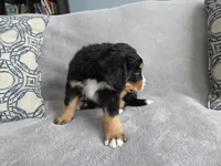 processed/8fff99ba-1192-432e-aa9e-74090d71ba87/listing/d24e2dcb-3e9e-40d1-9a12-a409ead32e24/5c04b2f7-ccd5-47c8-a4fb-31068542aabf