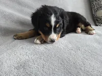 processed/8fff99ba-1192-432e-aa9e-74090d71ba87/listing/d24e2dcb-3e9e-40d1-9a12-a409ead32e24/67ac726f-faf4-4ec4-9591-84f18dac558e