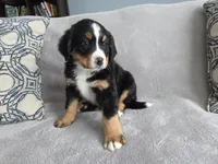 processed/8fff99ba-1192-432e-aa9e-74090d71ba87/listing/d24e2dcb-3e9e-40d1-9a12-a409ead32e24/d92b1c10-36c7-4257-b3af-97657aee76b3