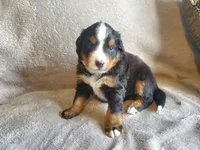 processed/8fff99ba-1192-432e-aa9e-74090d71ba87/listing/e7cd89d8-f7e9-4815-bdf3-07899f220cca/19826494-a701-4ca2-bc00-015fd29f84e3