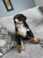 processed/8fff99ba-1192-432e-aa9e-74090d71ba87/listing/e7cd89d8-f7e9-4815-bdf3-07899f220cca/3c6323c6-ed99-493e-a28a-cc7de85f0090